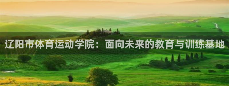 a8体育app：辽阳市体育运动学院：面向未来的教育与训练基地