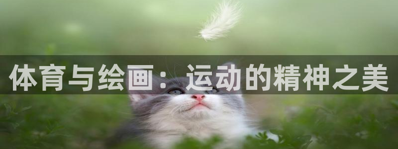 a8体育官网下载安装：体育与绘画：运动的精神之美